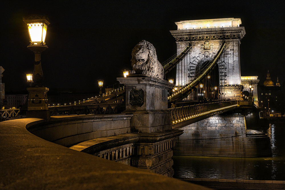 Platz 8 Harald Unglert